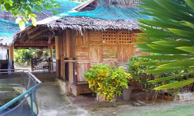 Agta beach resort