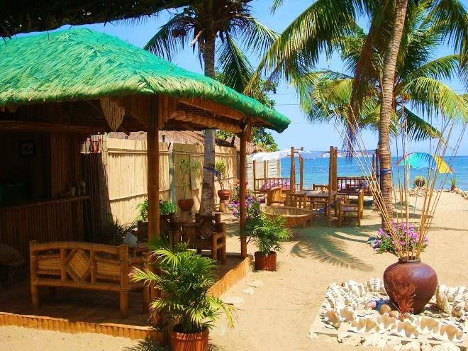 Bamboo paraiso