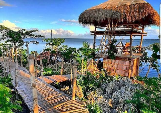Birdland beach club