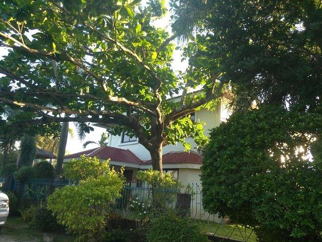 Jasly beach resort