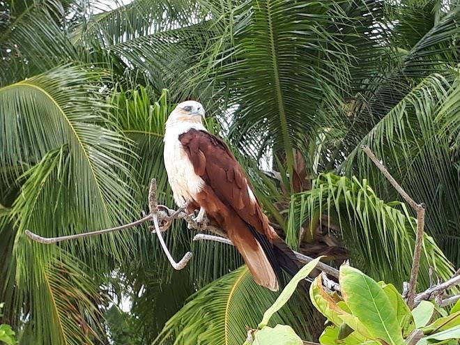 Landmanz Hotel Image