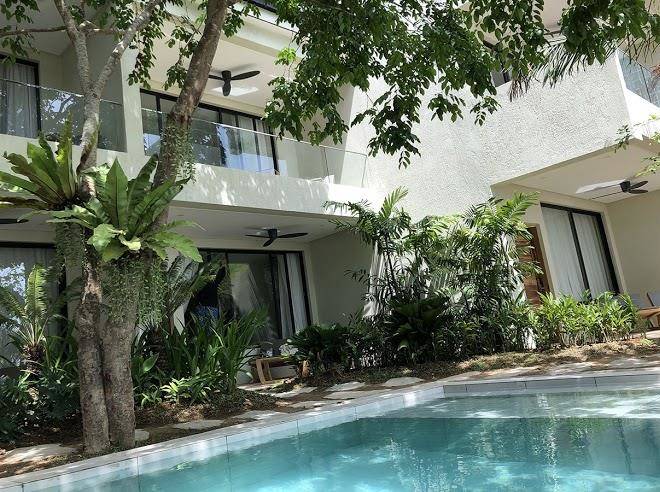 Frangipani el nido