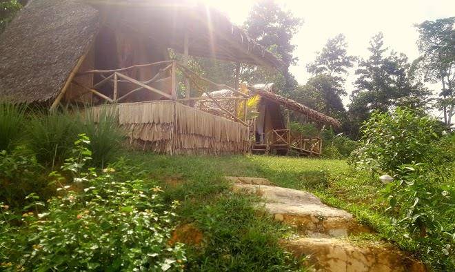 Jungle bar resto & hut