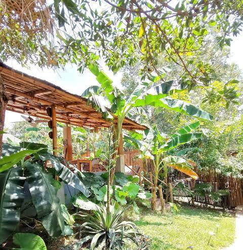 La colonial resort
