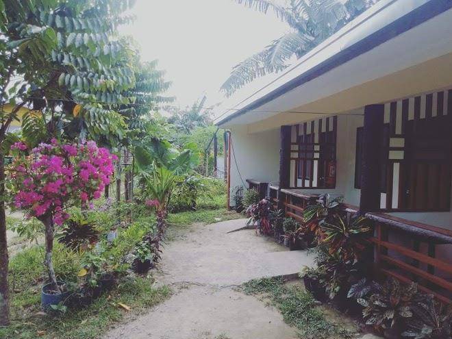 Lio garden view