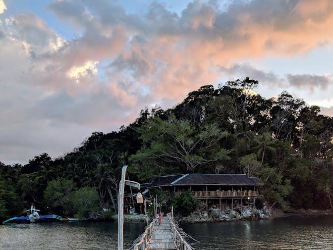 Seahorse and mangrove resort
