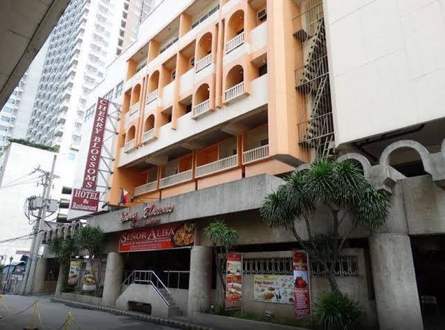 Cherry blossoms hotel