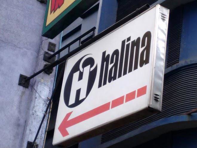 Halina hotel avenida