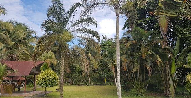Sars paradise resort