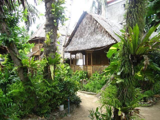Melinda's garden