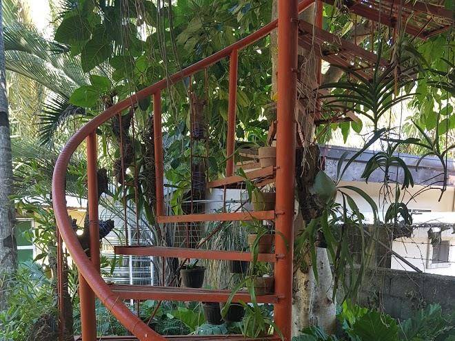 B&s orchids suites hotel