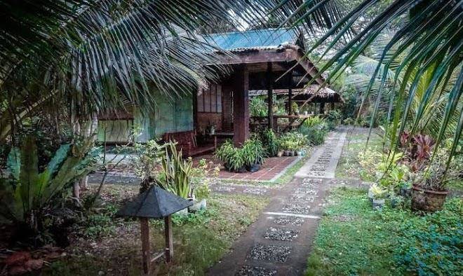 Cocotel vista del mar resort