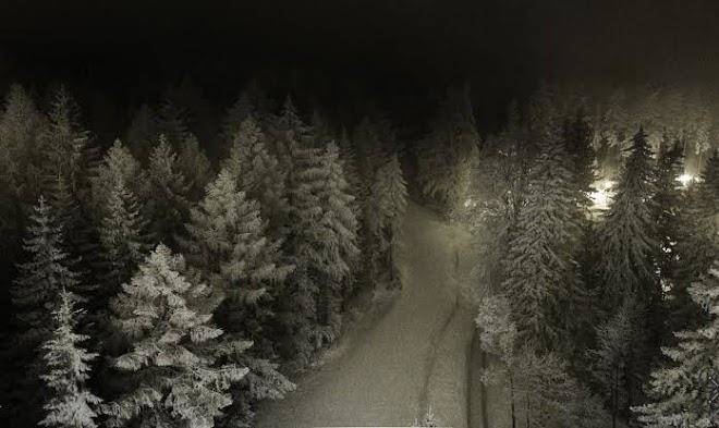 Willa Lolobrygida Image