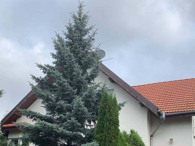 Dom na wzgorzu