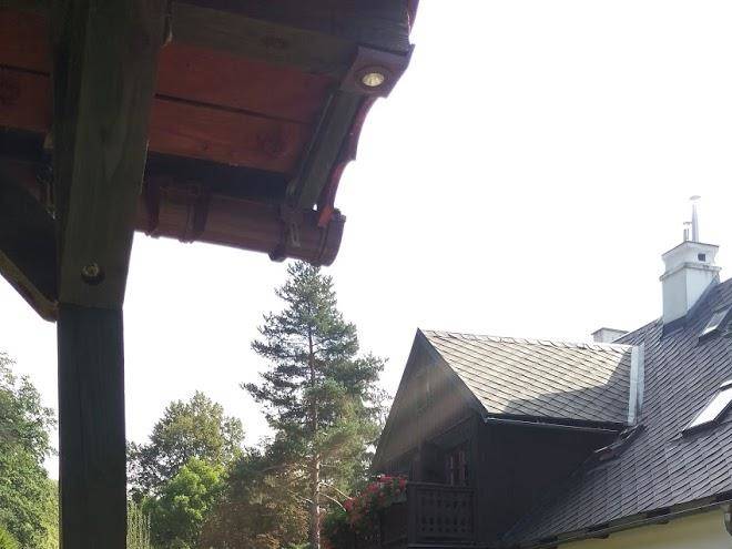 Lesny spokoj