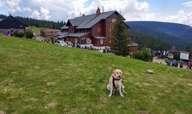 Schronisko Na Sniezniku Image