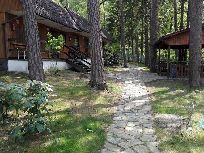 The resort grow a forest in rajsko