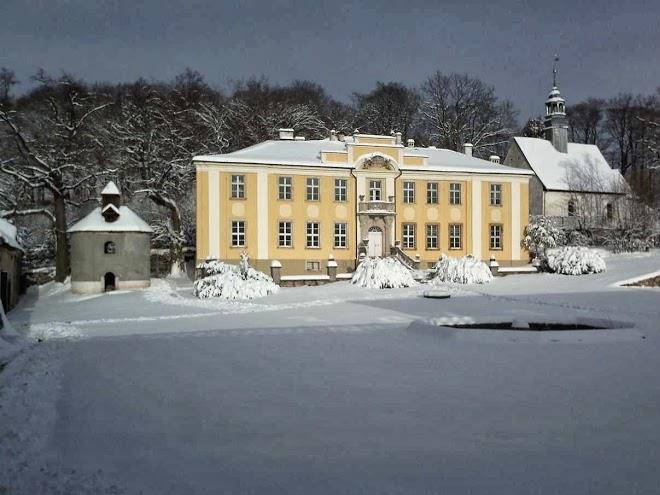 Palac lenno