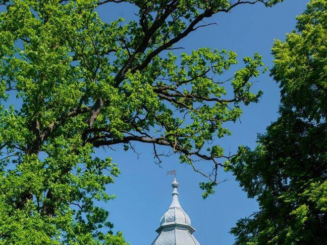 Palac Krobielowice Image