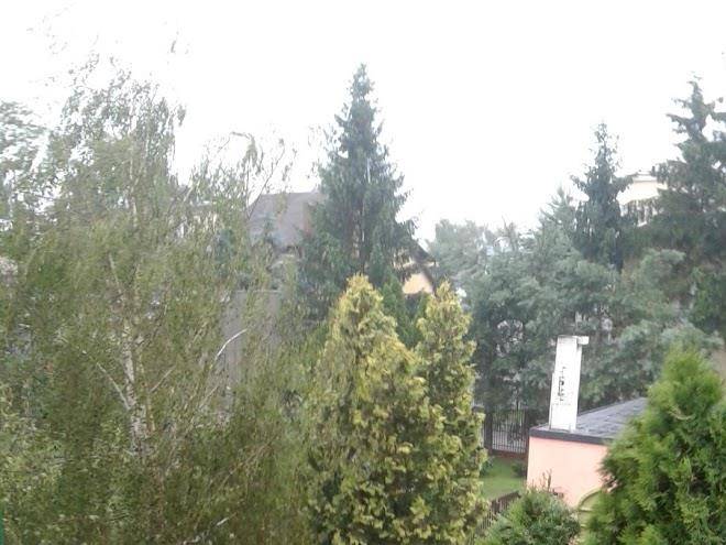 Pokoje Goscinne Dom Pod Rozami Ciechocinek Image