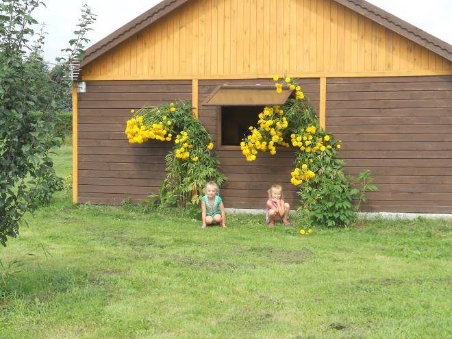 Agroturystyka borowka