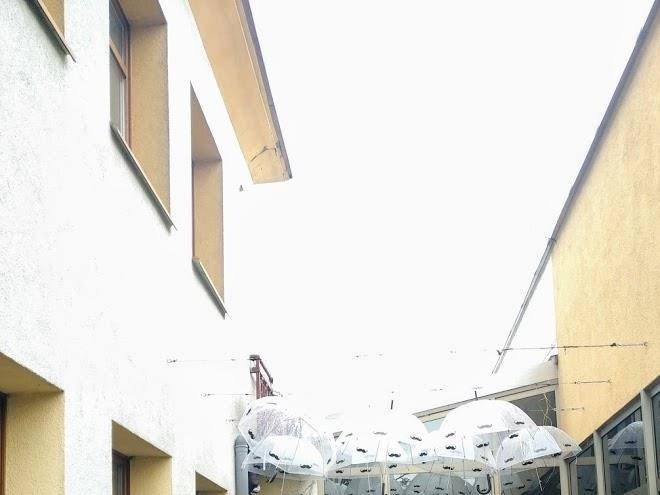 Hotel restauracja oaza bis