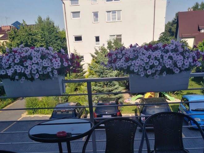 Noclegi swierkowe zacisze