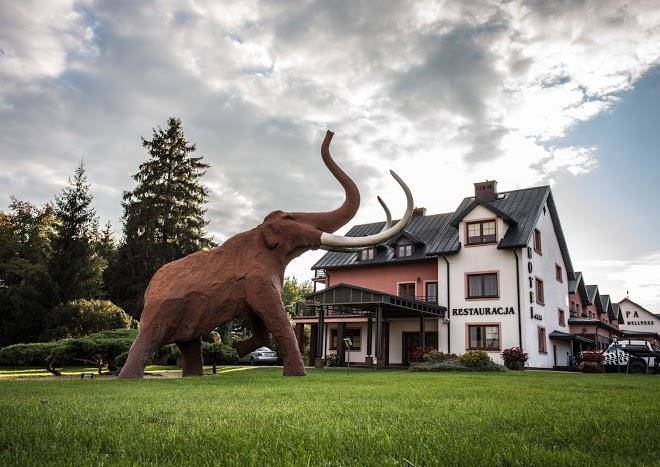 Hotel artis & spa zamosc