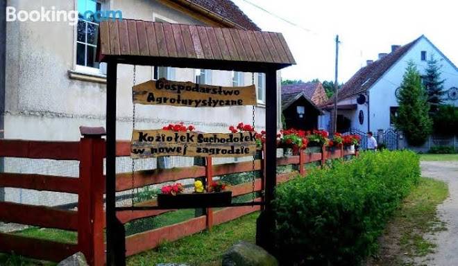 Koziolek suchodolek w nowej zagrodzie