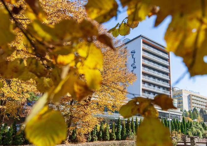 Silesia krynica