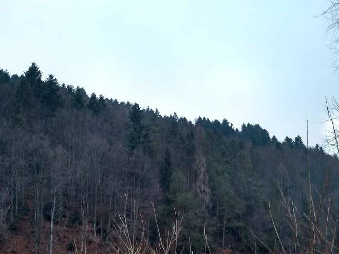 Domek nad dunajcem