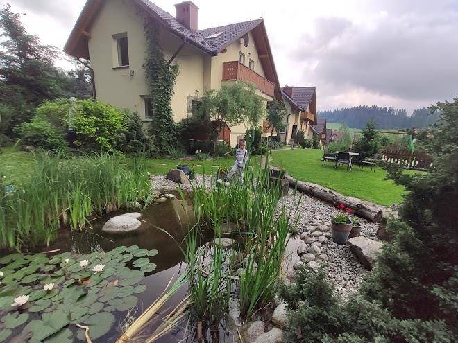 Zielona Owieczka Image