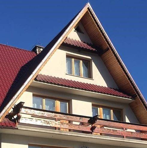 Dom wypoczynkowy jaskolka