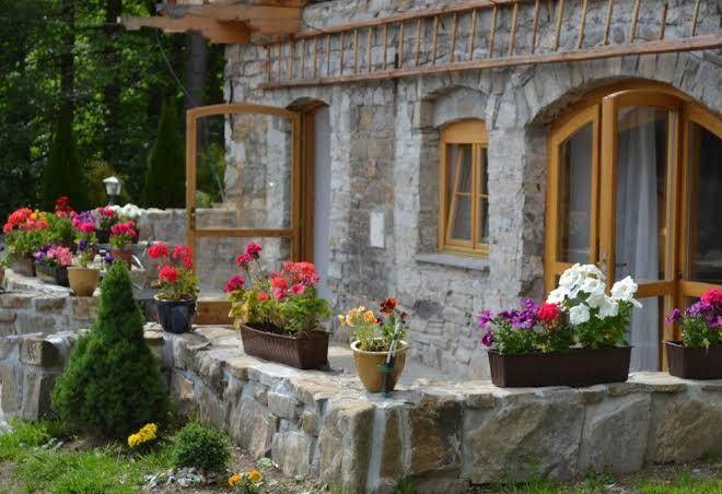 Willa Schodnica Image