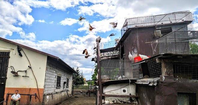 Agroturystyka u grazynki
