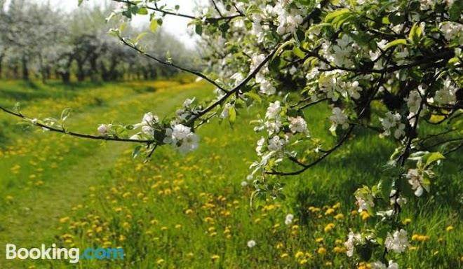 W Raju Ekoturystyka Image