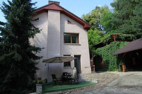 Miedzy drzewami