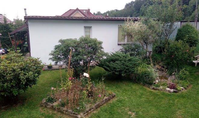Pokoje goscinne bieszczadzka 55