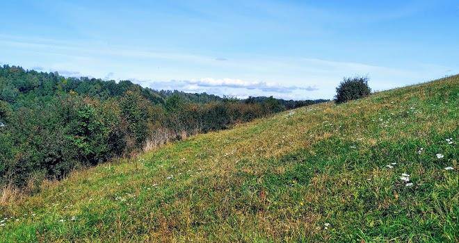 Noclegi U Andrzeja 698831626 Image