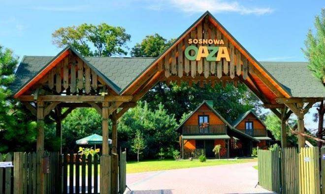 Sosnowa Oaza Image