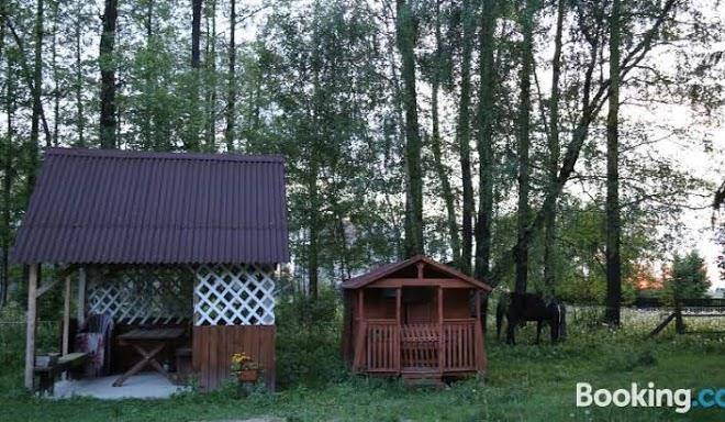 Kurnik polski
