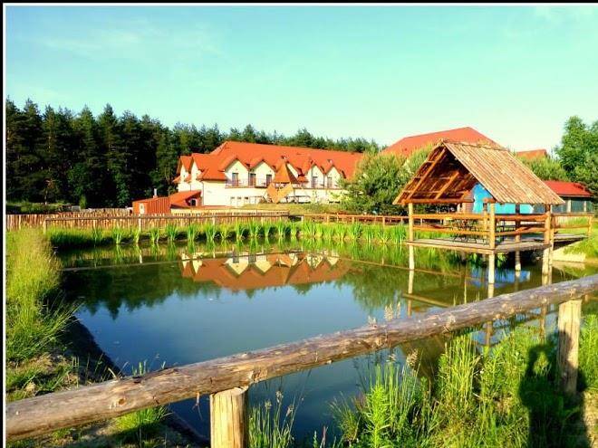 Sosnowe zacisze barszczewo