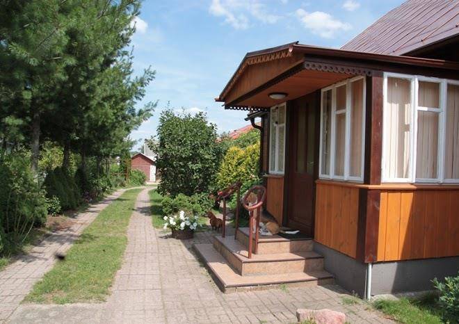 Agrokwatera bukwica w zablotczyznie