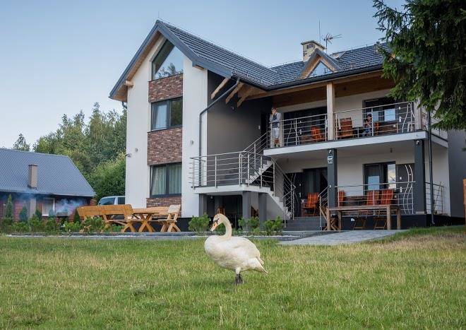 Pokoje zubr nad zalewem