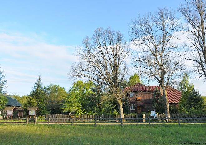 Lesniczowka grzedy