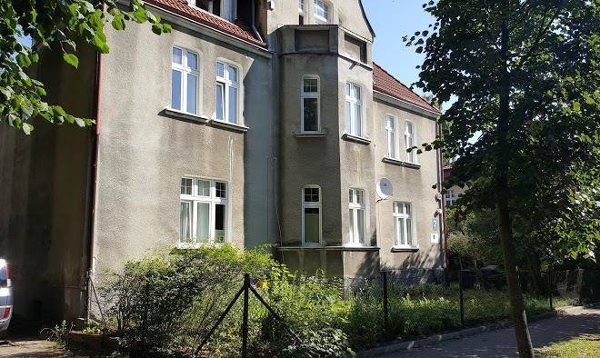 Asnyka oliwa