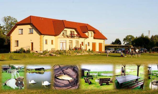 Agro nad stawem
