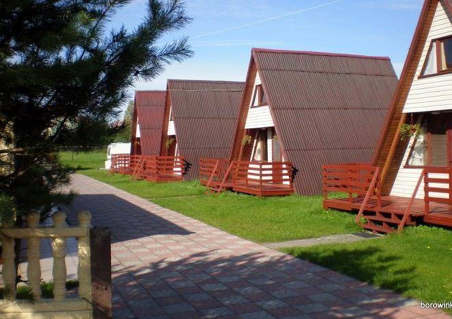 Borowinka