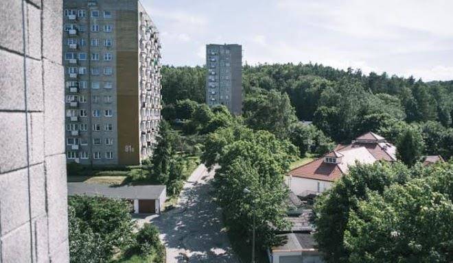Bedeker instytut