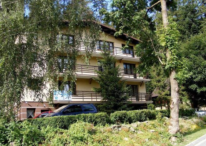 Niezapominajka Image